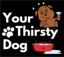 Your Thirsty Dog